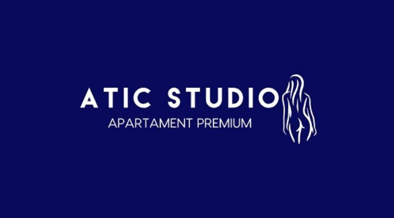 Apartament Attic Studio Тарновськє-Гури Екстер'єр фото